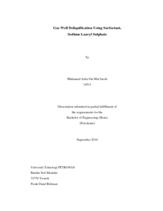 Gas Well Deliquification Using Surfactant, Sodium Lauryl Sulphate - UTP ...